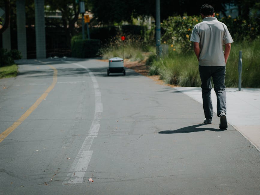 A young man with dark, curly hair, wearing a short-sleeved light grey shirt and dark trousers, is walking along a paved pathway lined with greenery and yellow flowering bushes on the right side. He is
