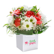 A celebration of Harlington's lively charm, this exquisite bouquet offers an artful blend of coral, peach, and vibrant red carnations, their soft, frilled petals exuding a gentle fragrance as they burst from a spotless square white gift bag. Bright white daisies with cheery yellow-green centers add a playful touch, while tiny clusters of baby's breath float like clouds, lending a feeling of innocence and delight. Purple-tinged buds gently peep through the left side, hinting at spring's unfolding wonders-a welcome sight in Harlington's gardens. Encircling the fresh flowers, deep, glossy green leaves provide clarity and structure, wrapping the bouquet in a lush embrace. Suspended by sturdy white ribbon handles, the gift bag stands out against a pure white background, ensuring all attention falls on the arrangement's lively interplay of textures and hues. Created to enliven celebrations, birthdays, or heartfelt moments in Harlington, this memorable gift reflects both floral sophistication and the genuine warmth that local florists bring to the community. Every detail, from bud to bag, is tailored to deliver joy and freshness right to a loved one's door.